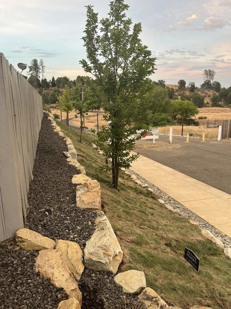 Reliable yard cleanup service in Redding, CA by Mijangos Professional Landscape Services