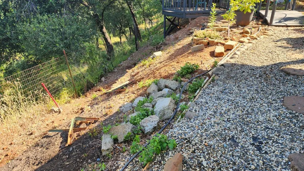 Trusted yard maintenance in Redding, CA - Mijangos Professional Landscape Services