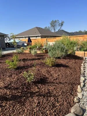 Mijangos Professional Landscape Services