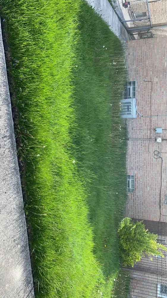 Local residential landscaping in Chicago, IL by Mijoi Cleaning