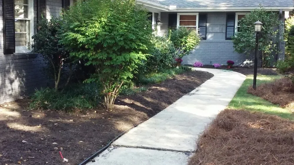 Top-rated yard cleanup service in Raleigh, NC - Mike & Mike's Lawn Care Service