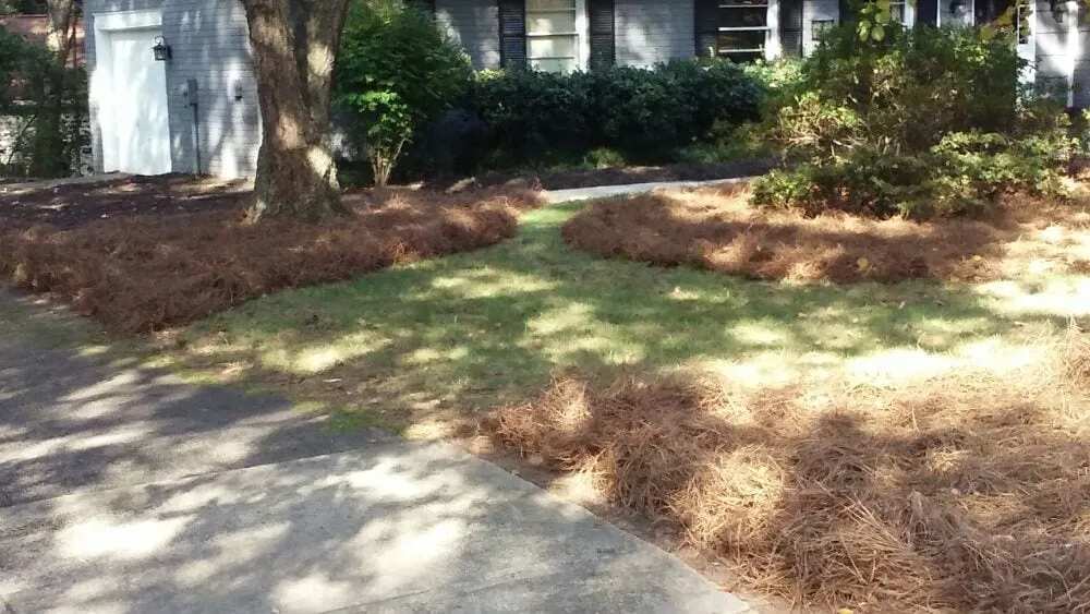Reliable landscape installation experts serving Raleigh, NC - Mike & Mike's Lawn Care Service