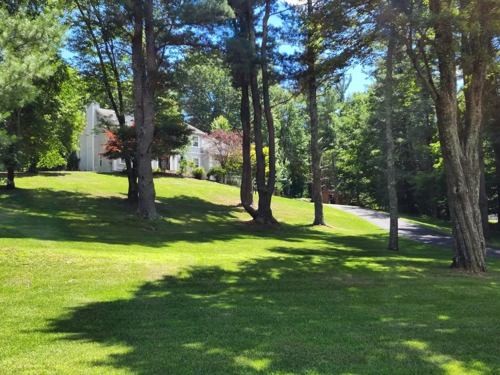 Trusted yard cleanup service for year-round maintenance across Otisville, NY - Mike & Mo's Kingdom Lawn and Home Improvements