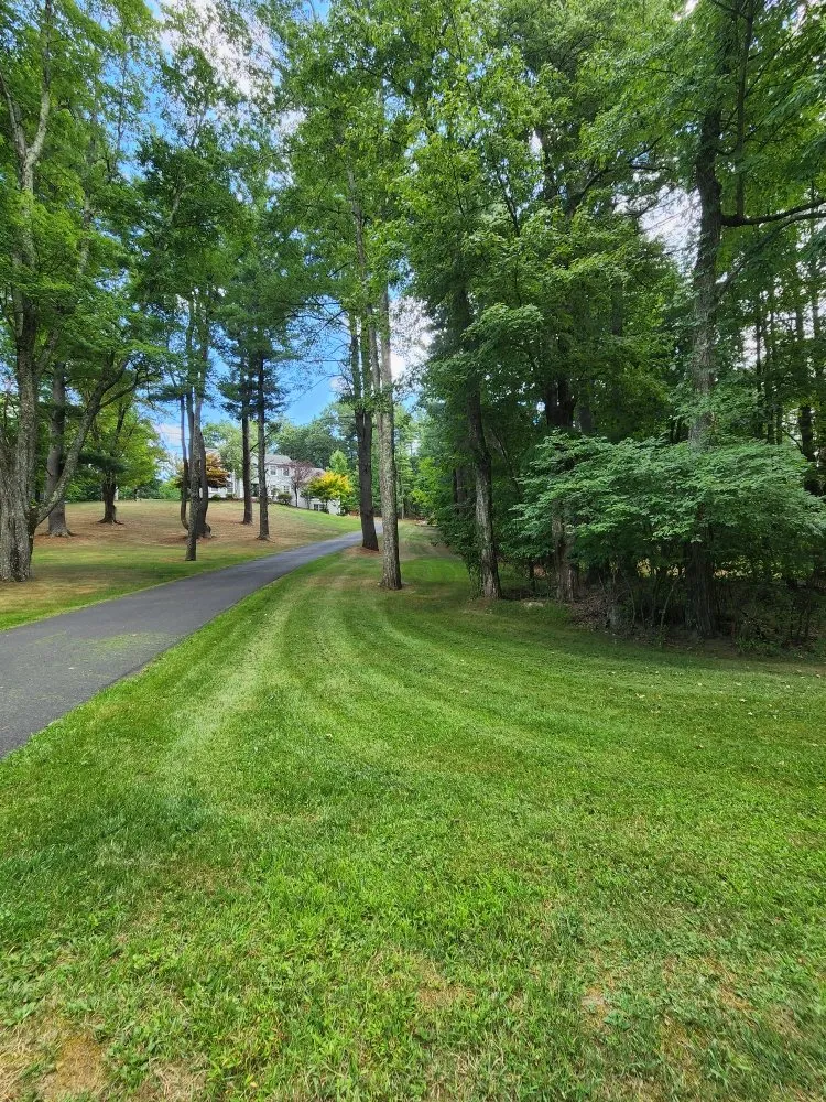Local yard maintenance in Otisville, NY - Mike & Mo's Kingdom Lawn and Home Improvements