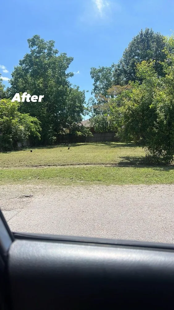 Local landscape design in New Orleans, LA - Mike & Sons Lawn Care And Services