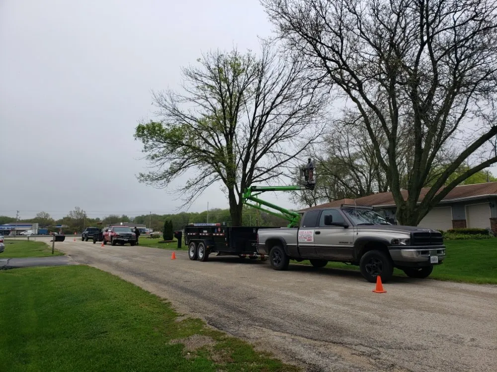 Affordable residential landscaping in Rockford, IL - Mike & Son's Property Maintenance