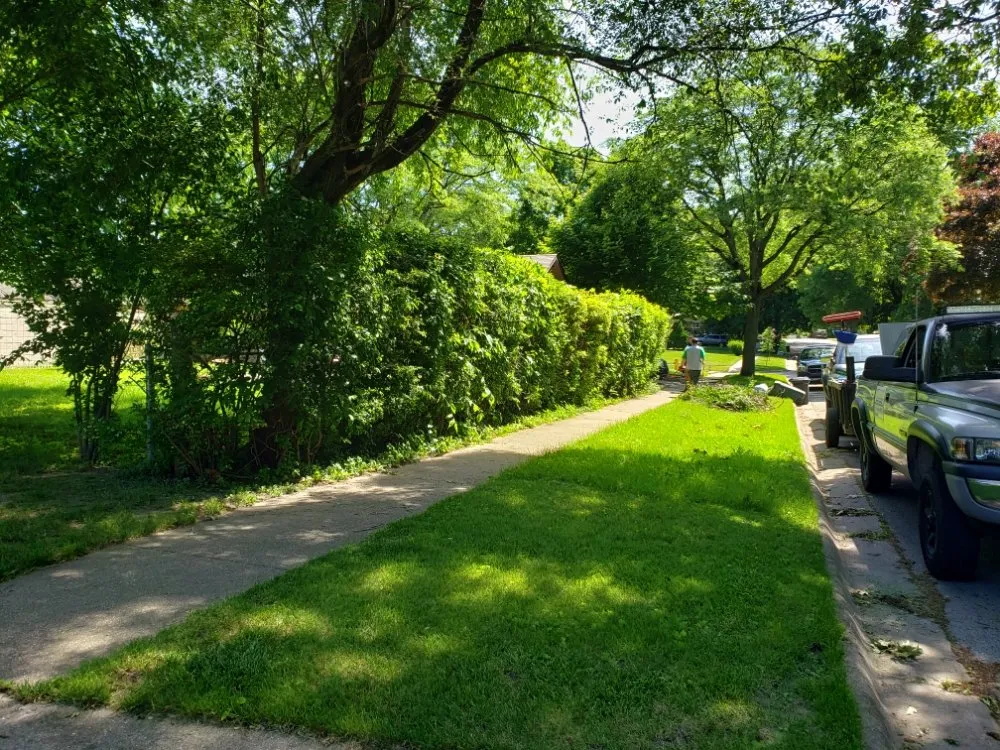 Professional landscaping services in Rockford, IL - Mike & Son's Property Maintenance