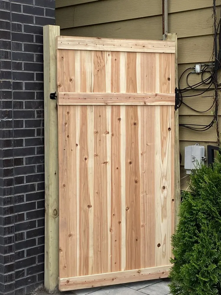 Top-rated yard maintenance for year-round maintenance in Conway, SC by Mike Albano Landscaping & Home Improvements