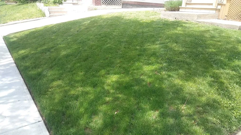 Affordable landscape installation for beautiful yards across Cleveland, OH - Mike and Mike Landscape