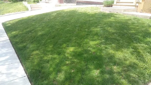 Mike and Mike Landscape Logo