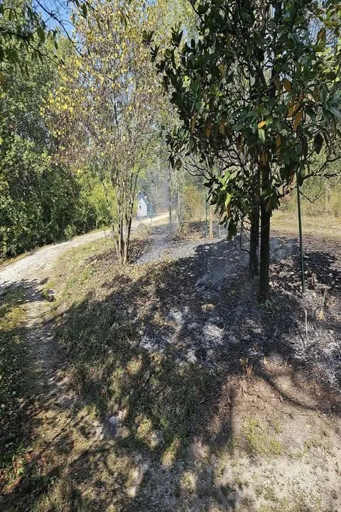 Affordable outdoor landscaping experts serving Cuba, MO - Mike and Sons Land Care