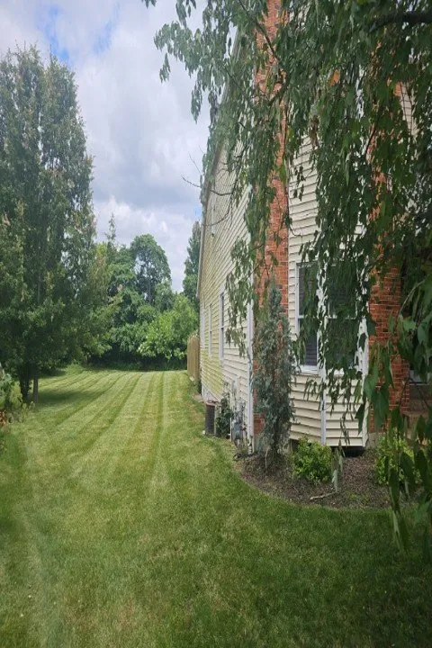 Professional outdoor landscaping in Cuba, MO by Mike and Sons Land Care