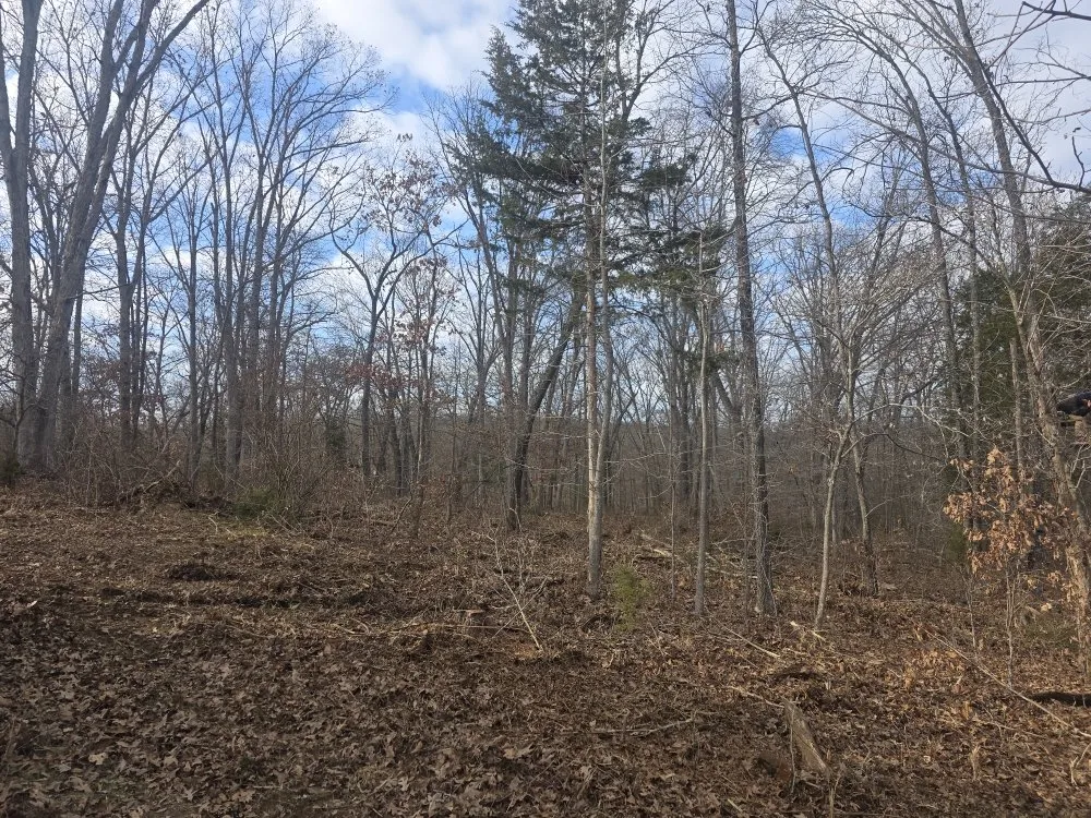 Reliable garden landscaping for year-round maintenance across Cuba, MO - Mike and Sons Land Care