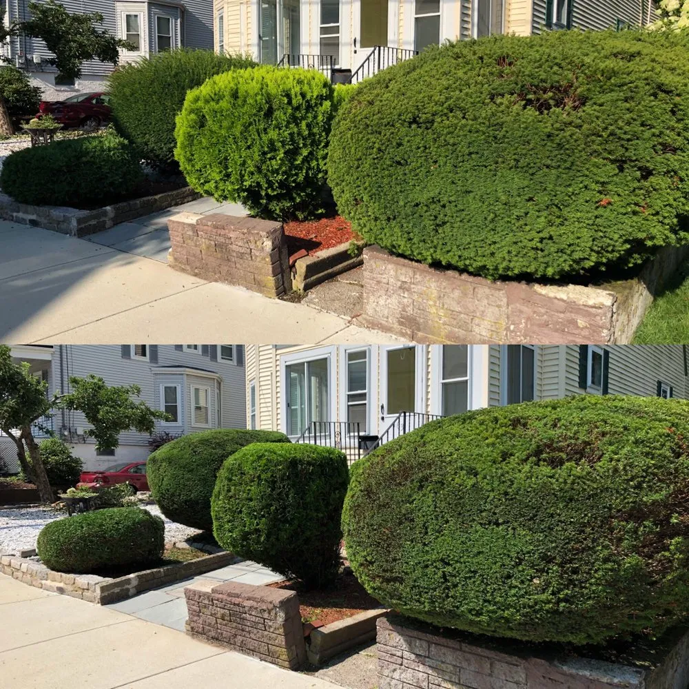 Affordable landscape installation for residential properties across Revere, MA - Mike and Sons Landscaping
