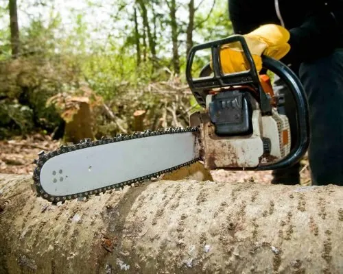 Trusted yard cleanup service in Gatesville, TX by Mike and Son's Tree Service