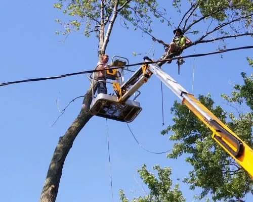 Professional residential landscaping for outdoor upgrades across Gatesville, TX - Mike and Son's Tree Service