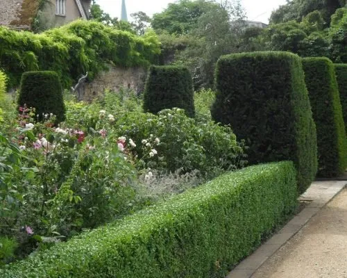 Expert lawn care service with custom design across Gatesville, TX - Mike and Son's Tree Service