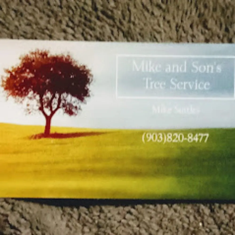 Top-rated garden landscaping in Gatesville, TX - Mike and Son's Tree Service