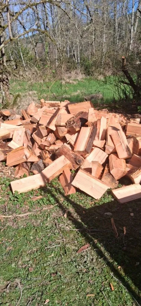 Local lawn care service for residential properties in Mount Vernon, WA by Mike and Tracie's Lawn and Tree Service