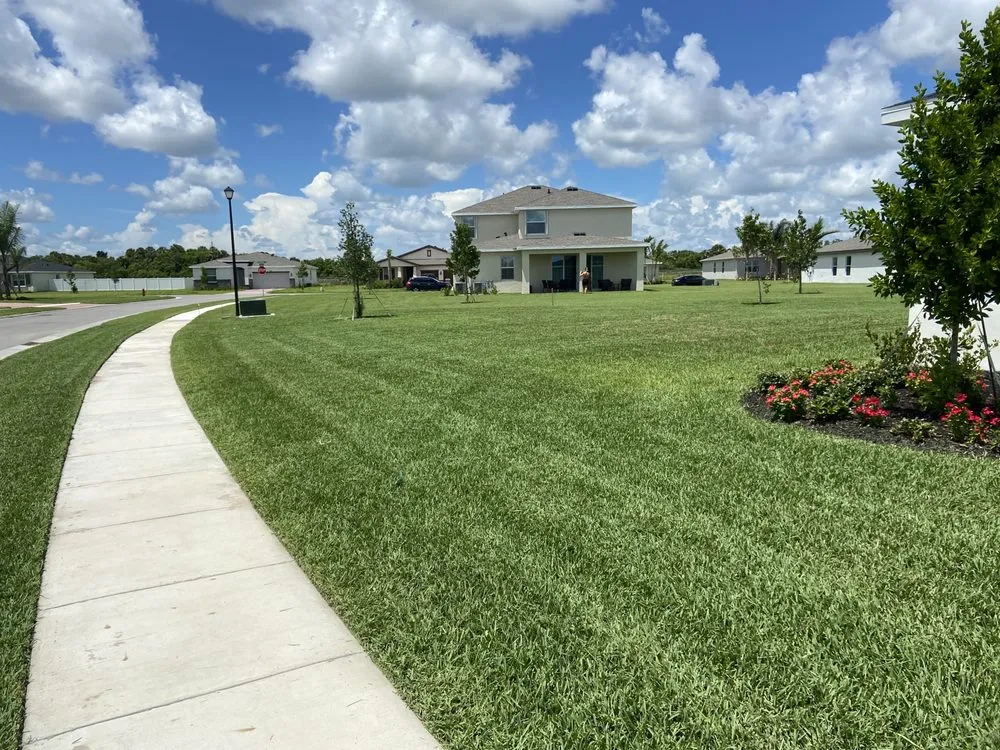 Professional yard cleanup service for year-round maintenance across Port St Lucie, FL - Mike B Landscaping