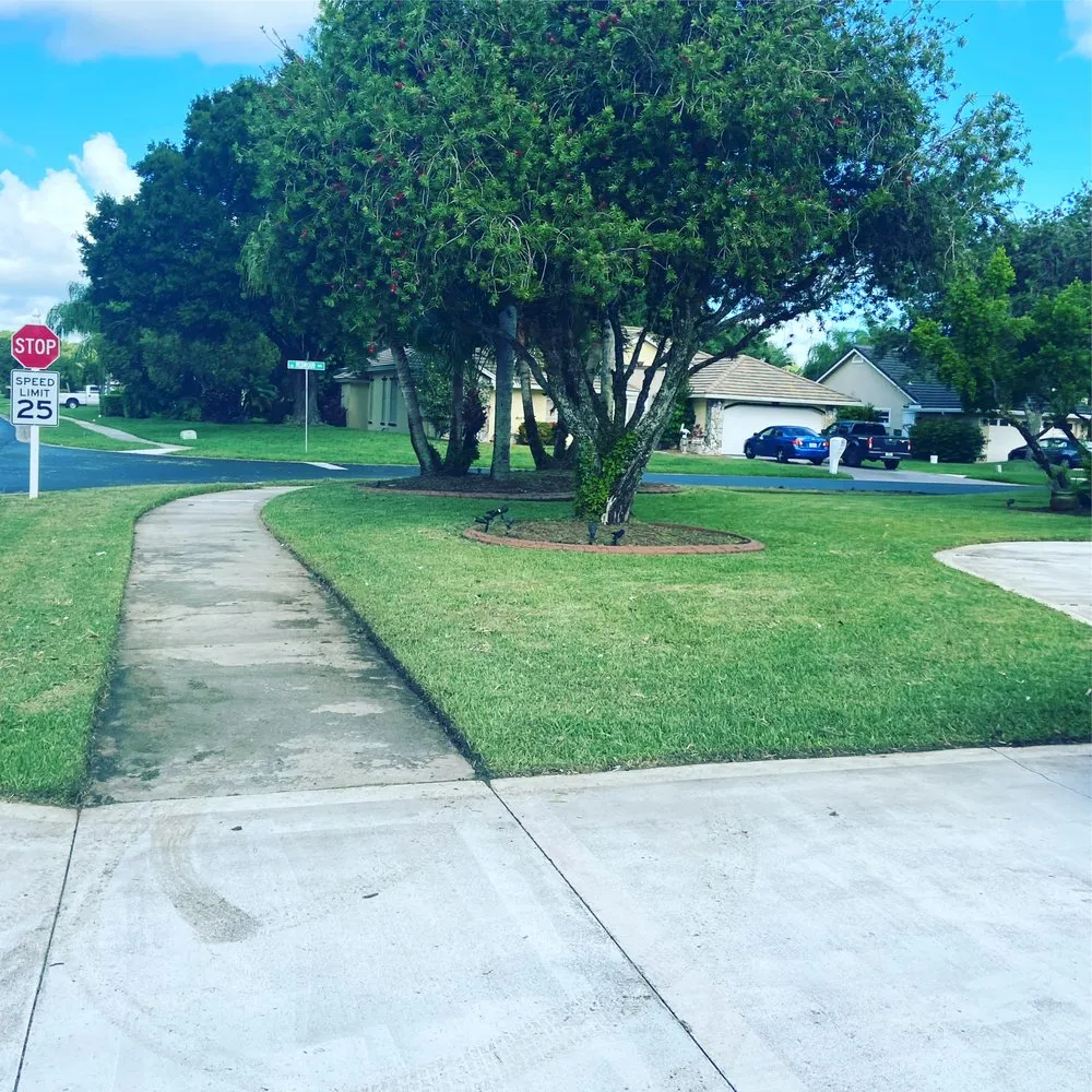 Local yard cleanup service for homes across Port St Lucie, FL - Mike B Landscaping