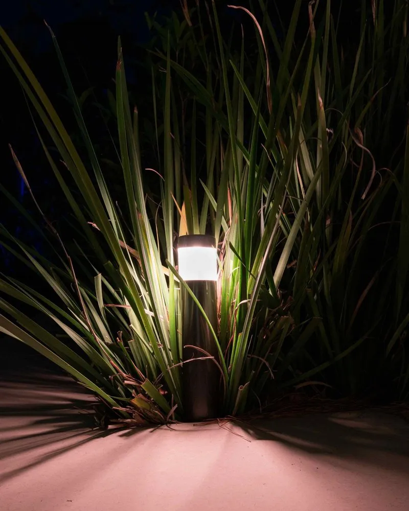 Top-rated yard cleanup service for year-round maintenance in Houston, TX by Mike Ball Irrigation