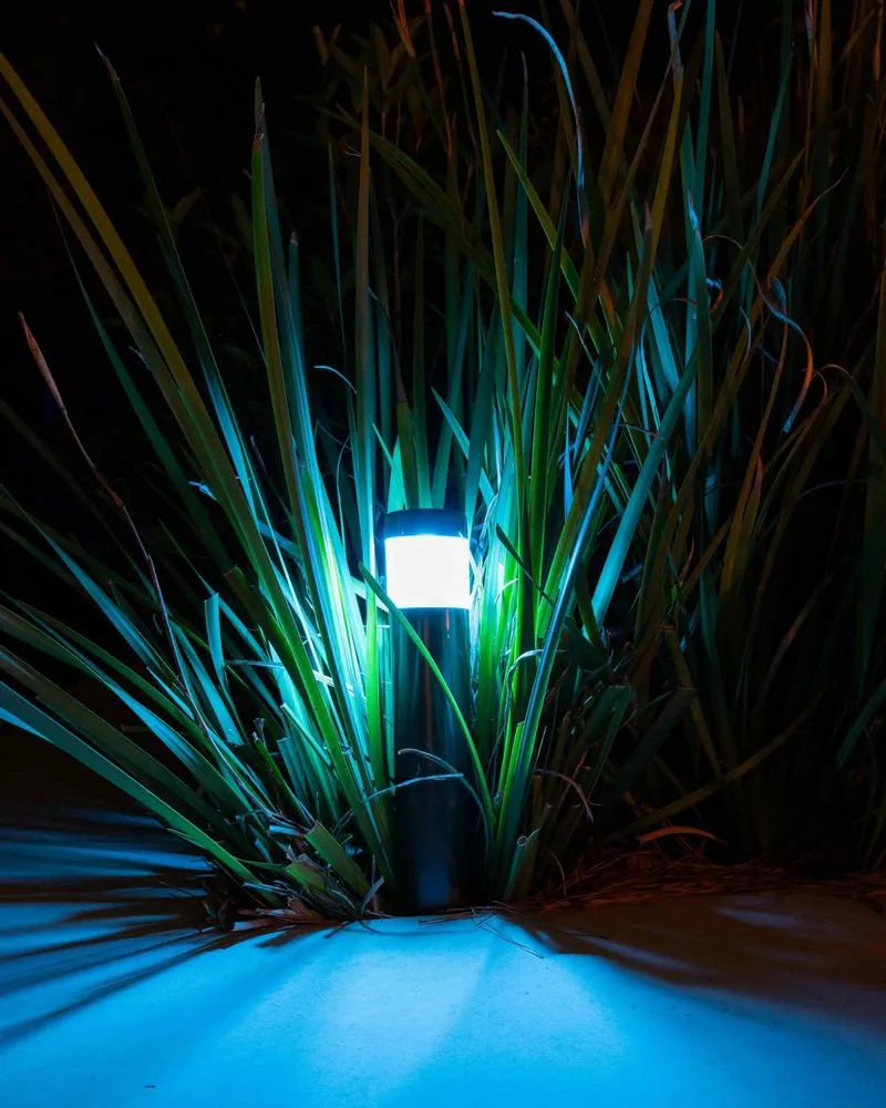 Professional outdoor landscaping for residential properties in Houston, TX by Mike Ball Irrigation