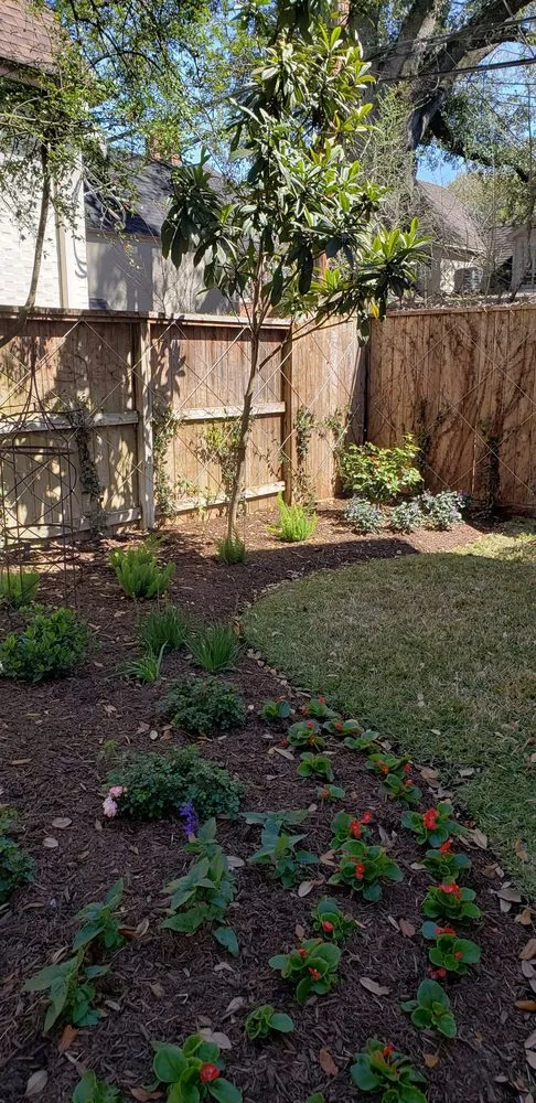 Expert landscaping services experts serving Houston, TX - Mike Ball Irrigation
