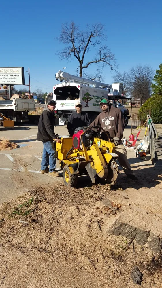 Affordable yard maintenance experts serving Fort Smith, AR - Mike Carroll Tree Service and Construction