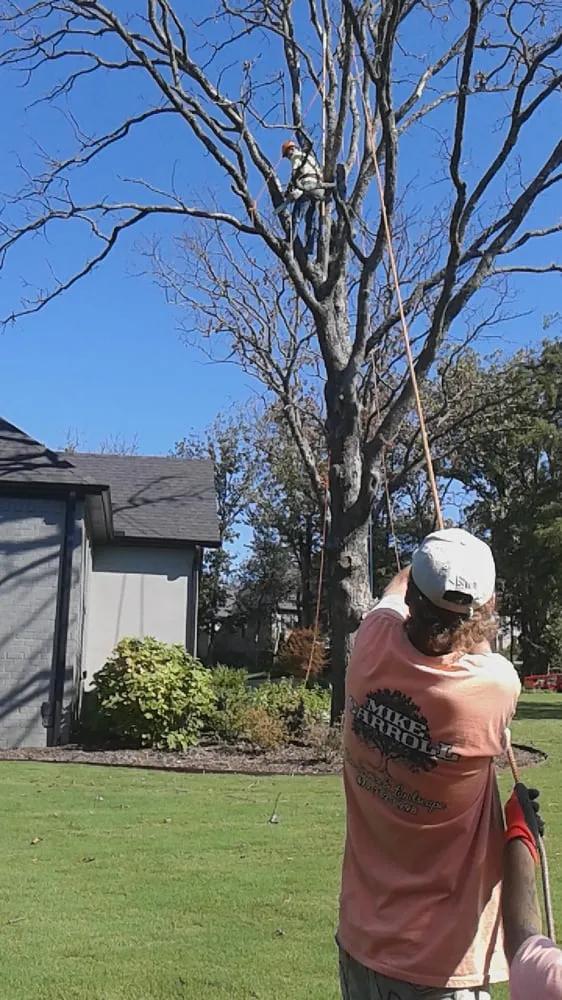 Local residential landscaping with custom design across Fort Smith, AR - Mike Carroll Tree Service and Construction