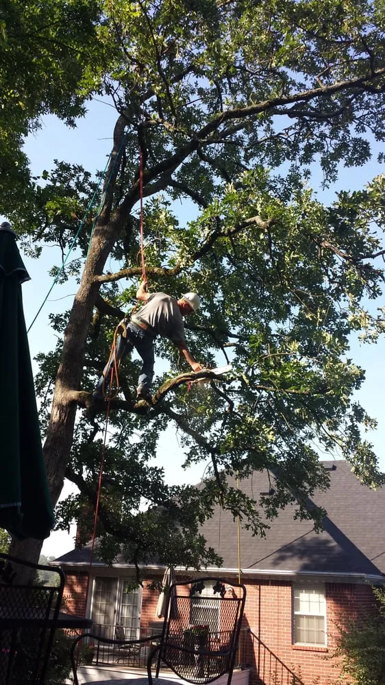 Custom lawn care service for residential properties in Fort Smith, AR by Mike Carroll Tree Service and Construction