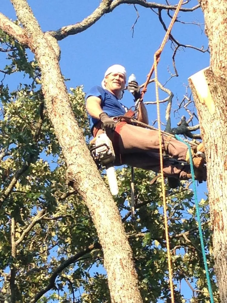 Reliable yard cleanup service for homes across Fort Smith, AR - Mike Carroll Tree Service and Construction