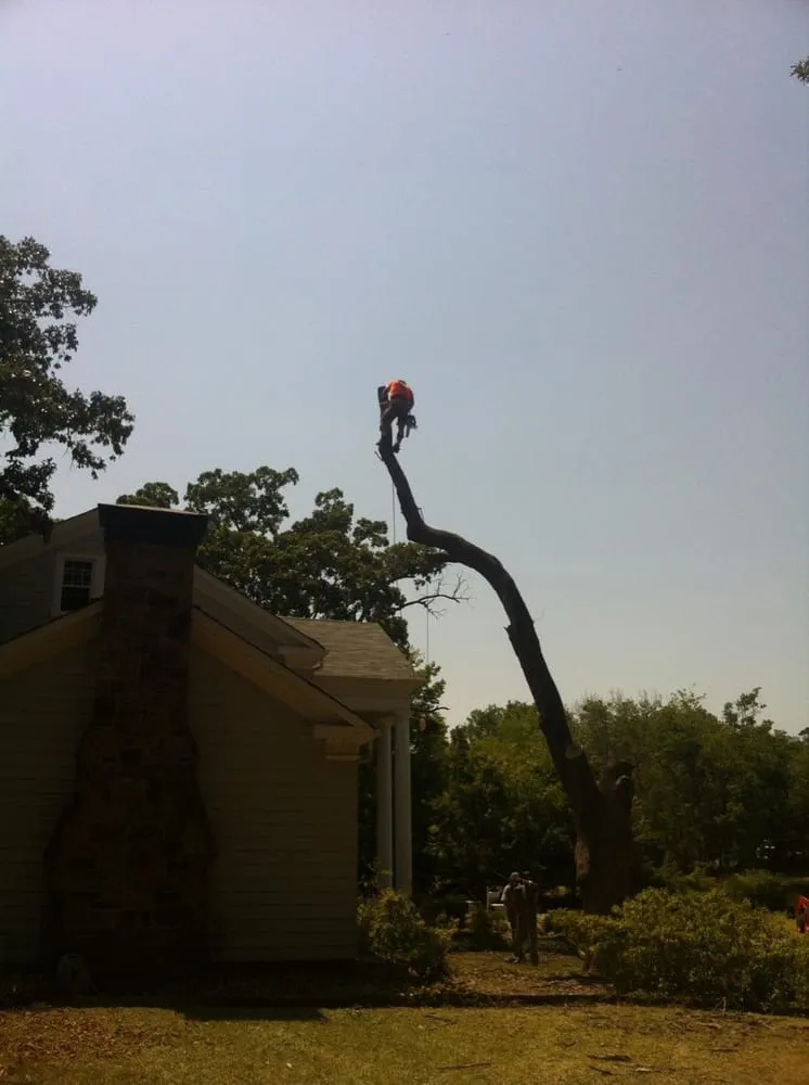 Trusted garden landscaping experts serving Fort Smith, AR - Mike Carroll Tree Service and Construction