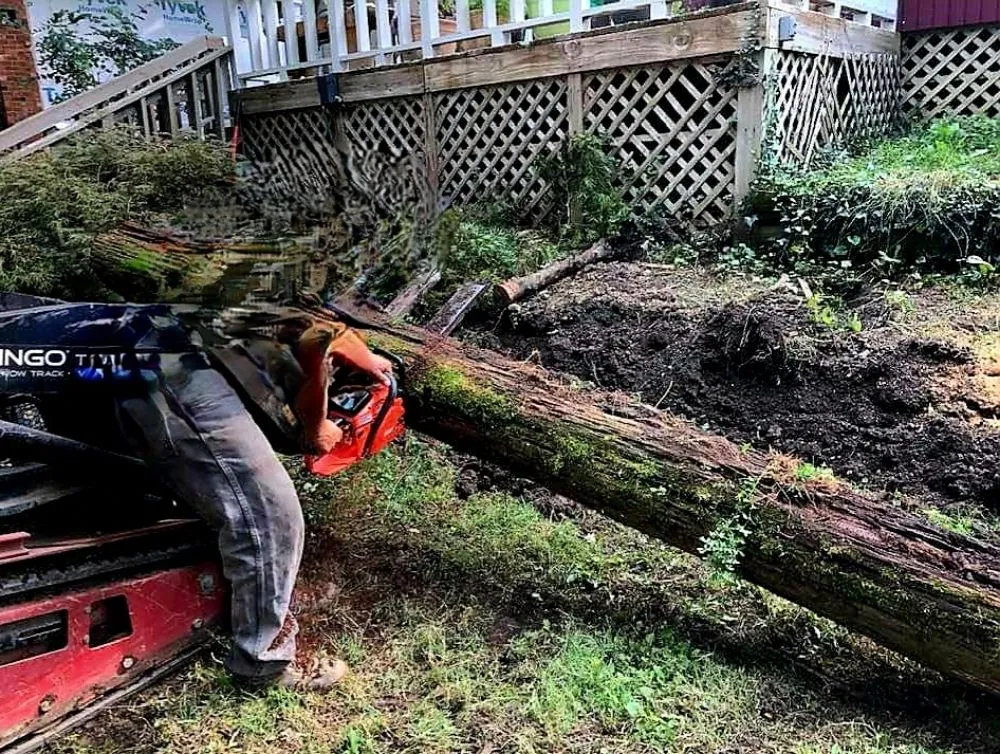 Expert landscaping services experts serving Lancaster, OH - Mike Couch