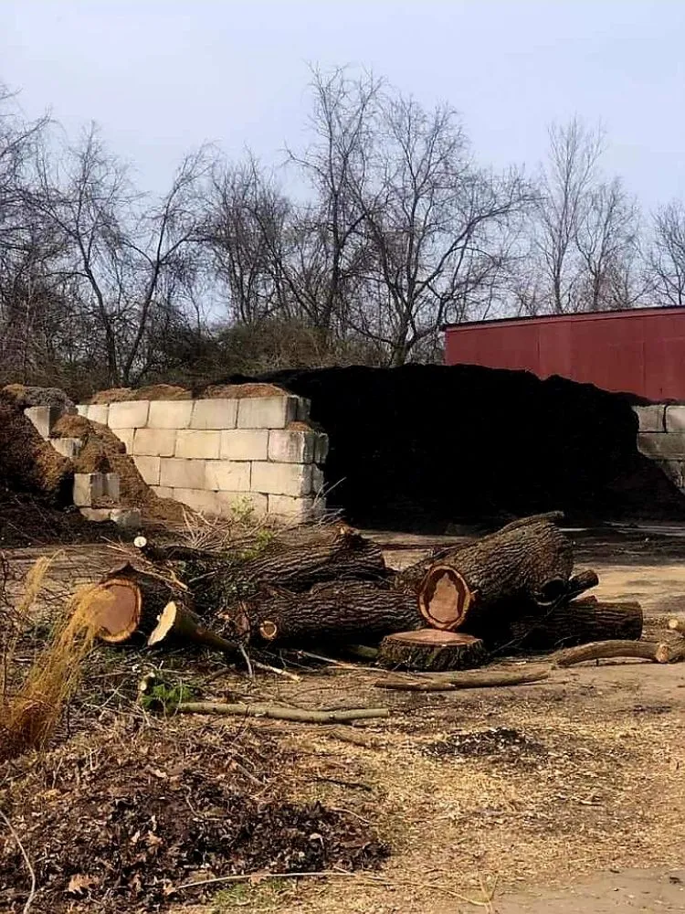 Reliable landscaping services for outdoor upgrades in Lancaster, OH by Mike Couch