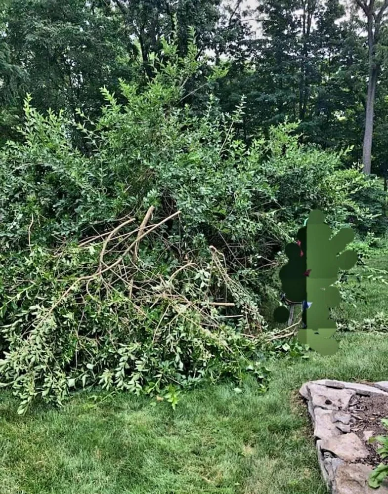 Trusted landscape installation in Lancaster, OH by Mike Couch