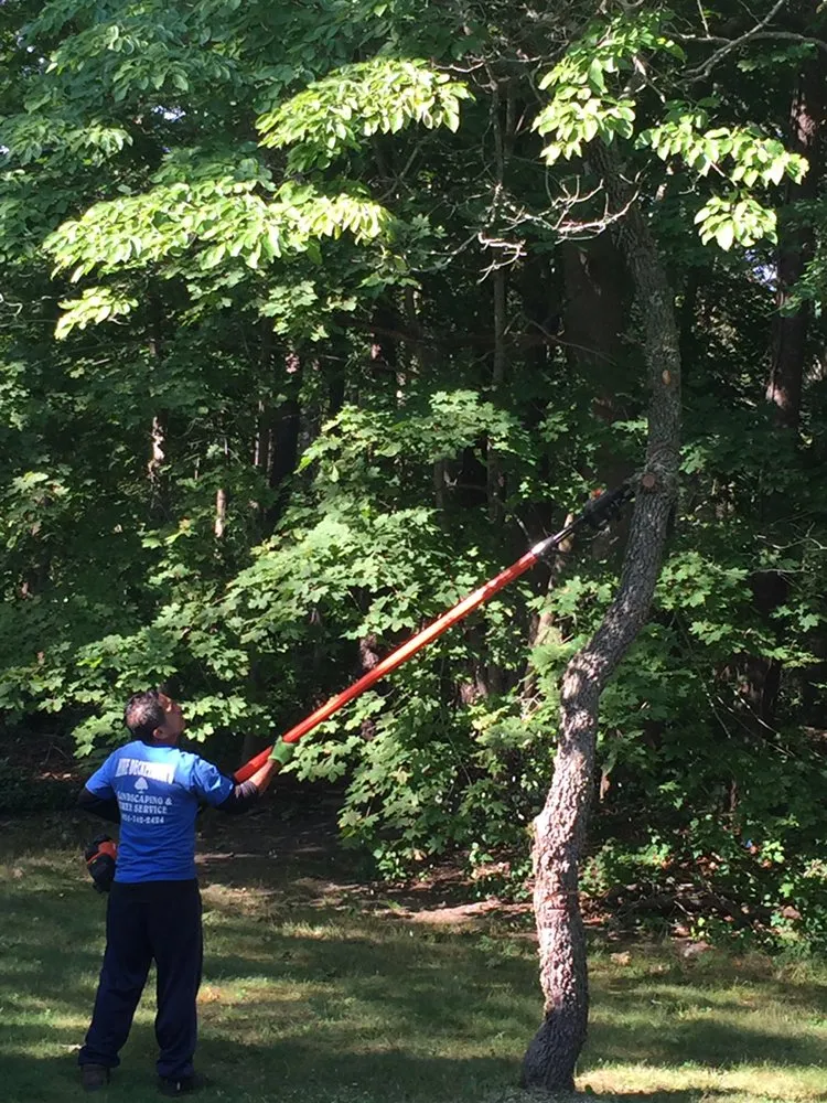 Trusted residential landscaping experts serving Huntington Station, NY - Mike Deckelmann's Landscaping