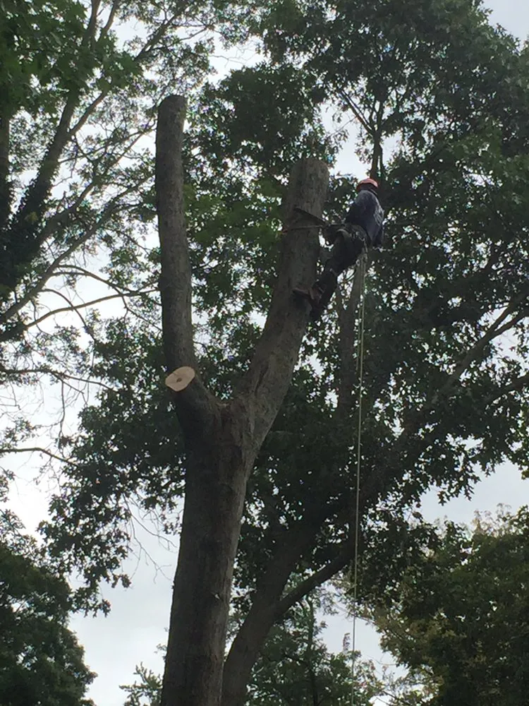 Top-rated landscape design near you across Huntington Station, NY - Mike Deckelmann's Landscaping