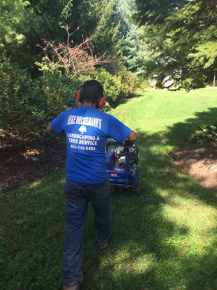 Custom yard cleanup service in Huntington Station, NY - Mike Deckelmann's Landscaping