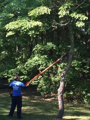 Mike Deckelmann's Landscaping