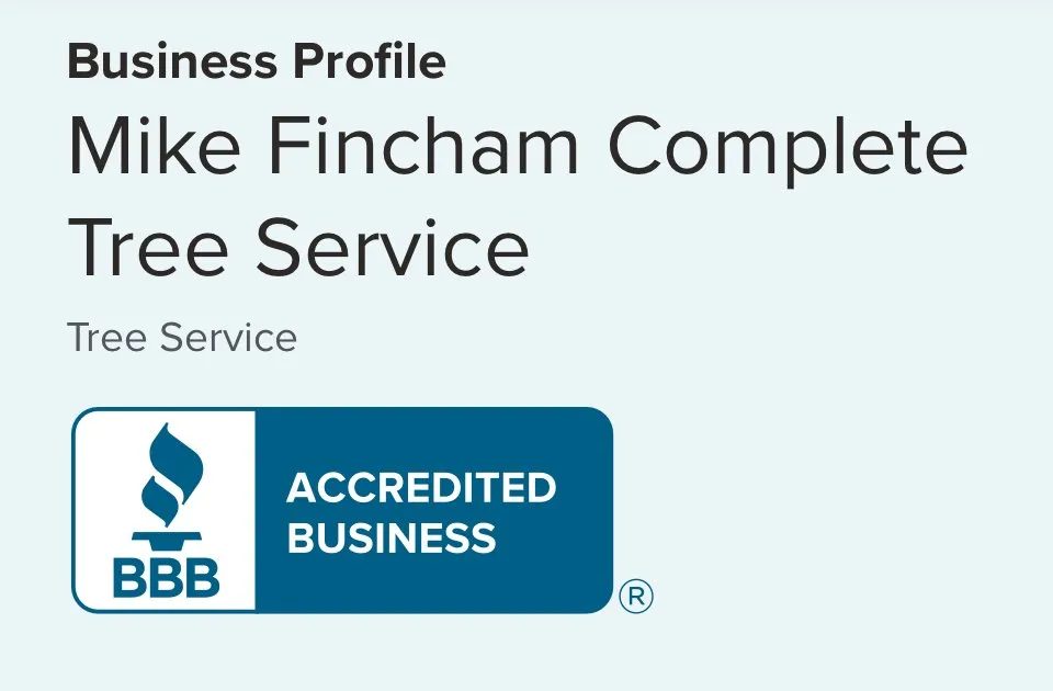 Trusted landscaping services in Culpeper, VA - Mike Fincham Complete Tree Service