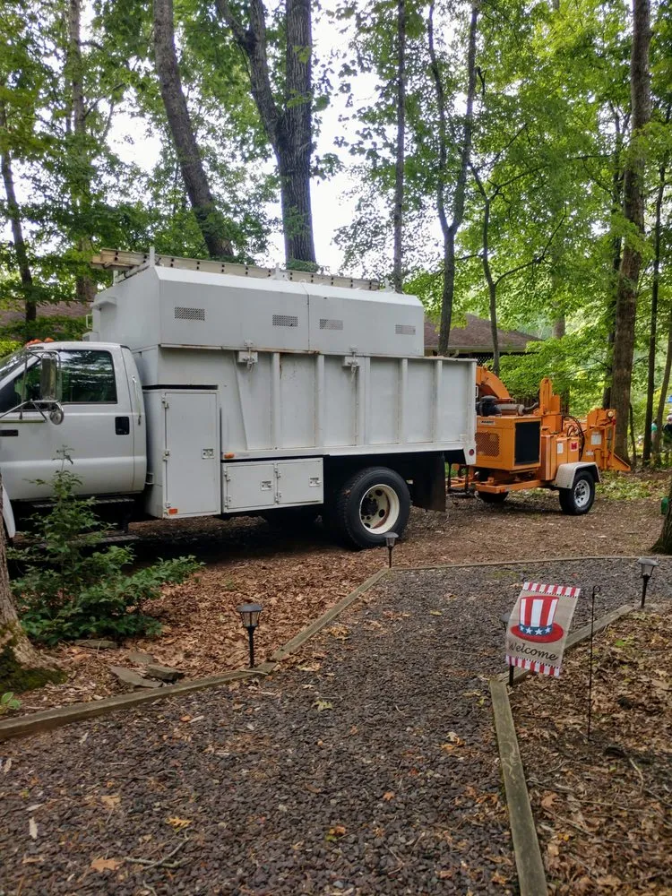 Affordable lawn care service in Culpeper, VA - Mike Fincham Complete Tree Service