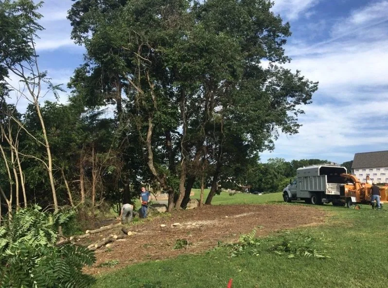 Affordable lawn mowing service for outdoor upgrades across Culpeper, VA - Mike Fincham Complete Tree Service