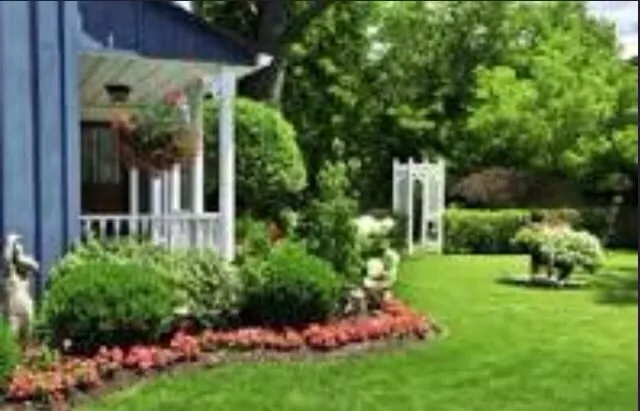 Professional yard maintenance in Canoga Park, CA by Mike Gallo Landscape & Tree Service