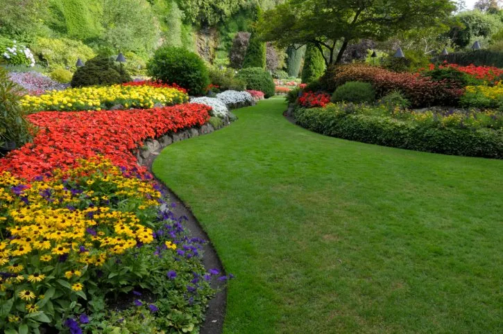 Local lawn care service in Saint Johns, FL - Mike Gamel