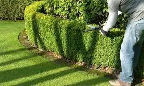 Custom lawn mowing service near you in Saint Johns, FL by Mike Gamel