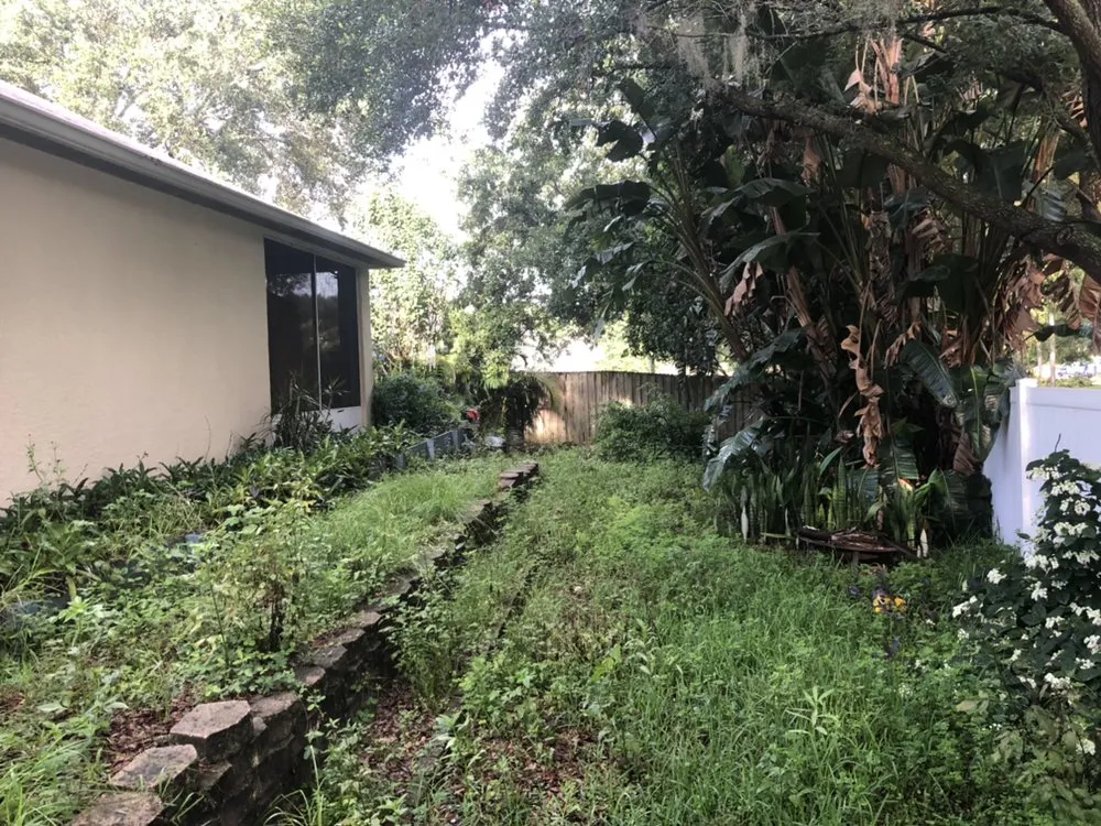 Affordable landscape installation near you in Brandon, FL by Mike Goodwine's lawn Service