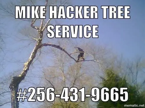 Affordable lawn care service for beautiful yards in Athens, AL by Mike Hacker Tree Service
