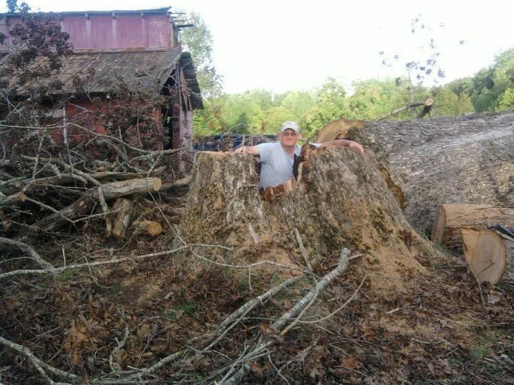 Trusted yard cleanup service experts serving Athens, AL - Mike Hacker Tree Service