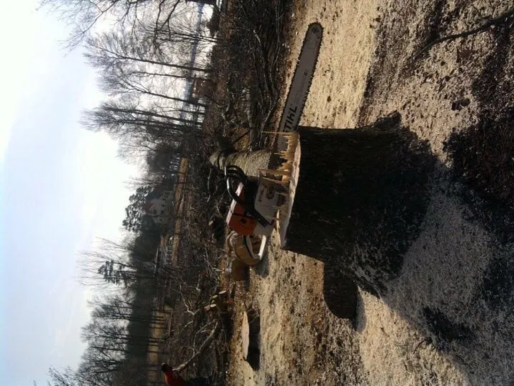 Top-rated residential landscaping experts serving Athens, AL - Mike Hacker Tree Service